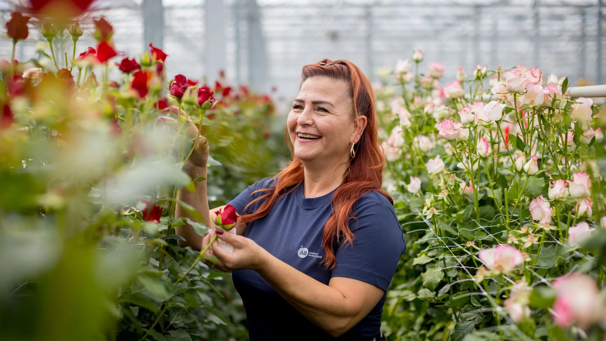 Horticulture Jobs AB Midden Nederland